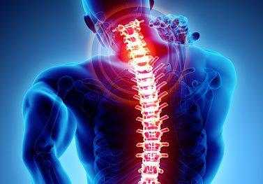 The 3 Best Reasons To See A Chiropractor When You Are Not In Pain